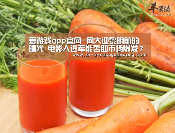 爱游戏app官网-网大迎黎明前的曙光 电影人进军能否助市场爆发?(图1) 爱游戏app官网