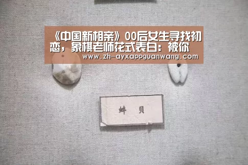 爱游戏app官网