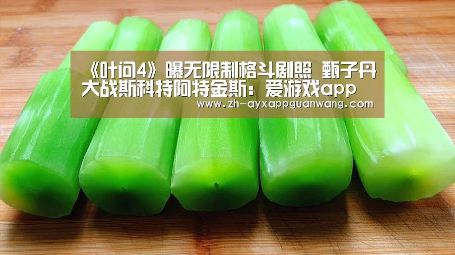 《叶问4》曝无限制格斗剧照 甄子丹大战斯科特阿特金斯:爱游戏app官网(图2) 爱游戏app官网