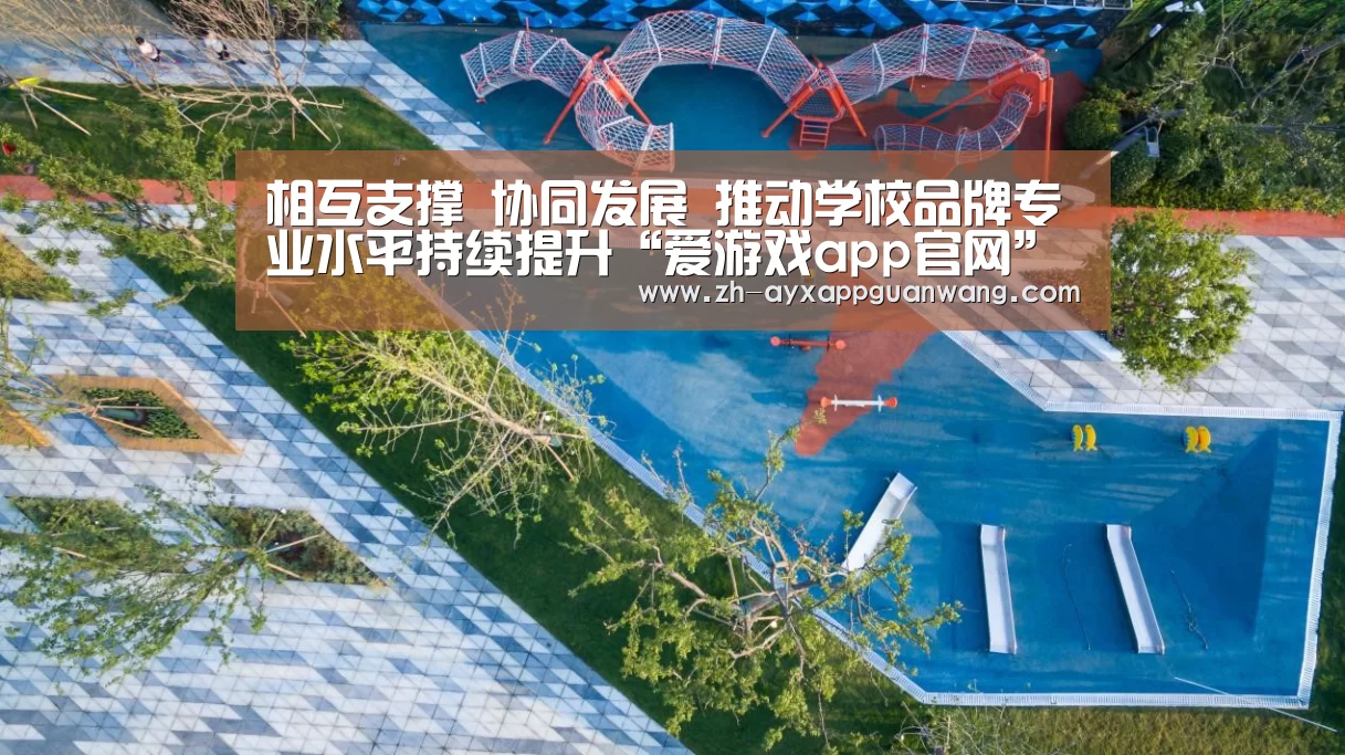 相互支撑 协同发展 推动学校品牌专业水平持续提升“爱游戏app官网”(图3) 爱游戏app官网