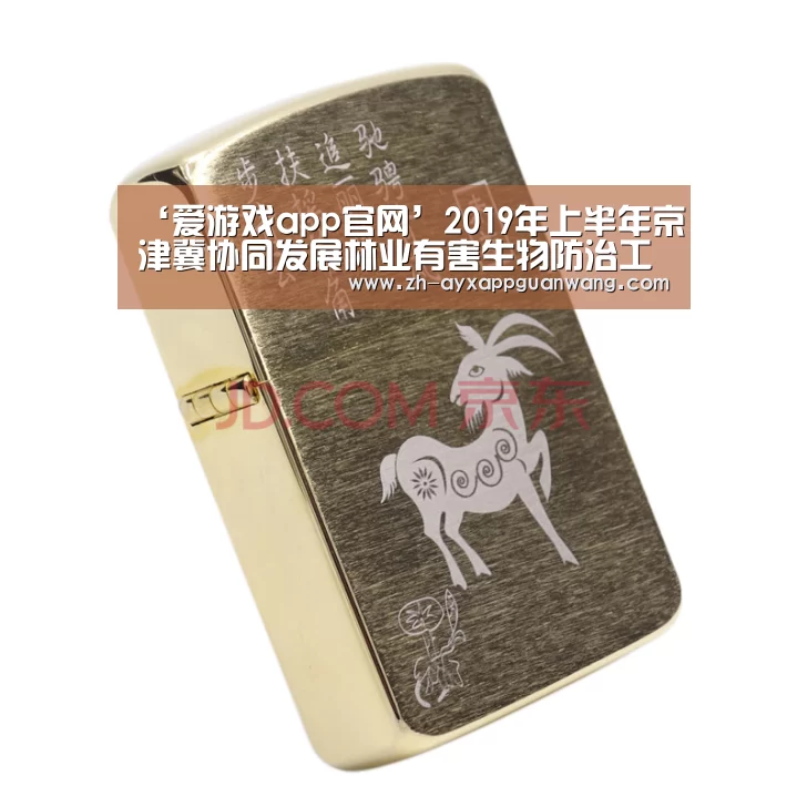 ‘爱游戏app官网’2019年上半年京津冀协同发展林业有害生物防治工作总结会在北京怀柔召开(图2) 爱游戏app官网