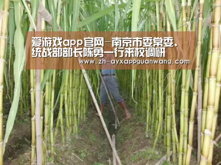 爱游戏app官网