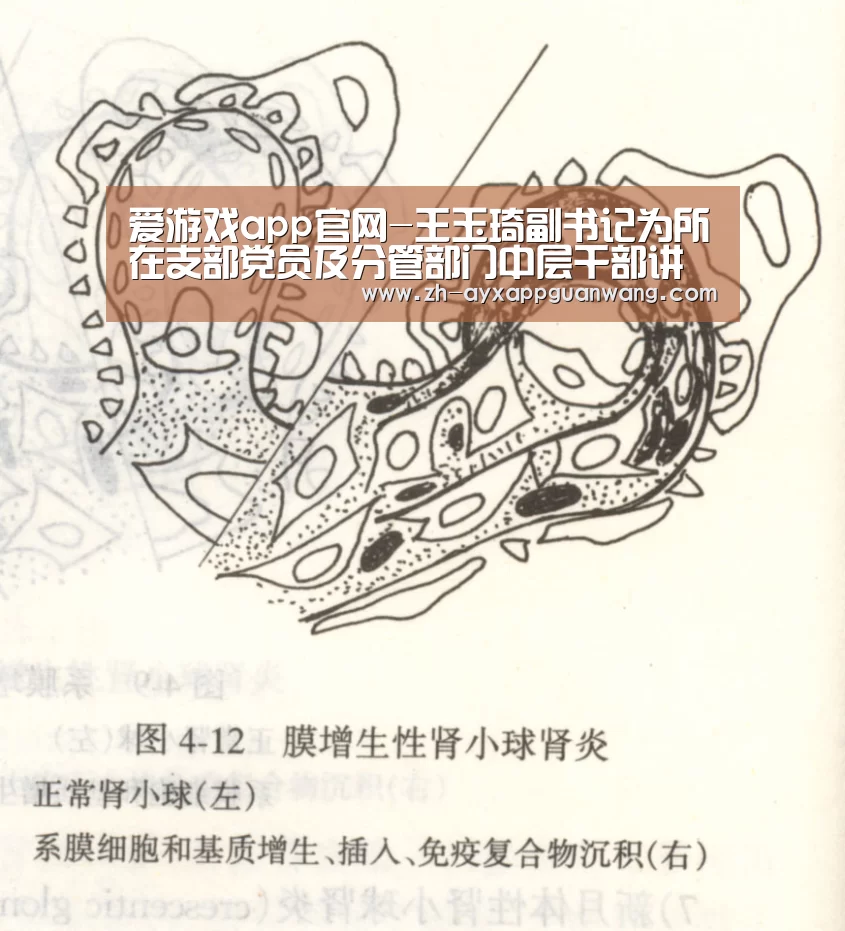 爱游戏app官网