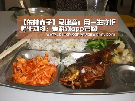 爱游戏app官网