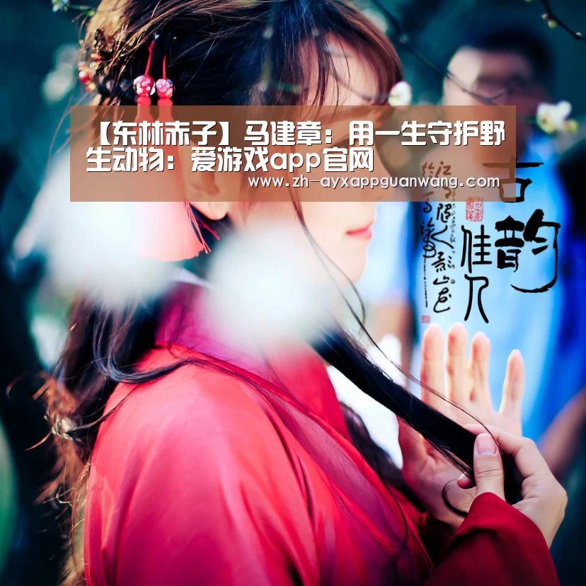 爱游戏app官网