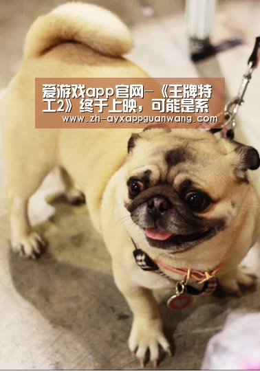 爱游戏app官网